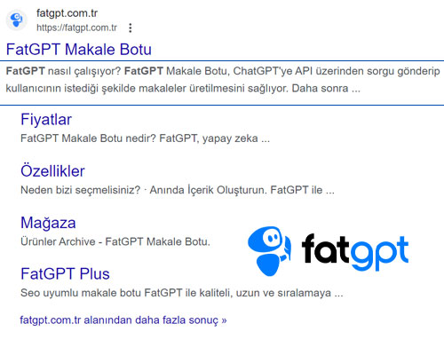 Meta Description Etiketi