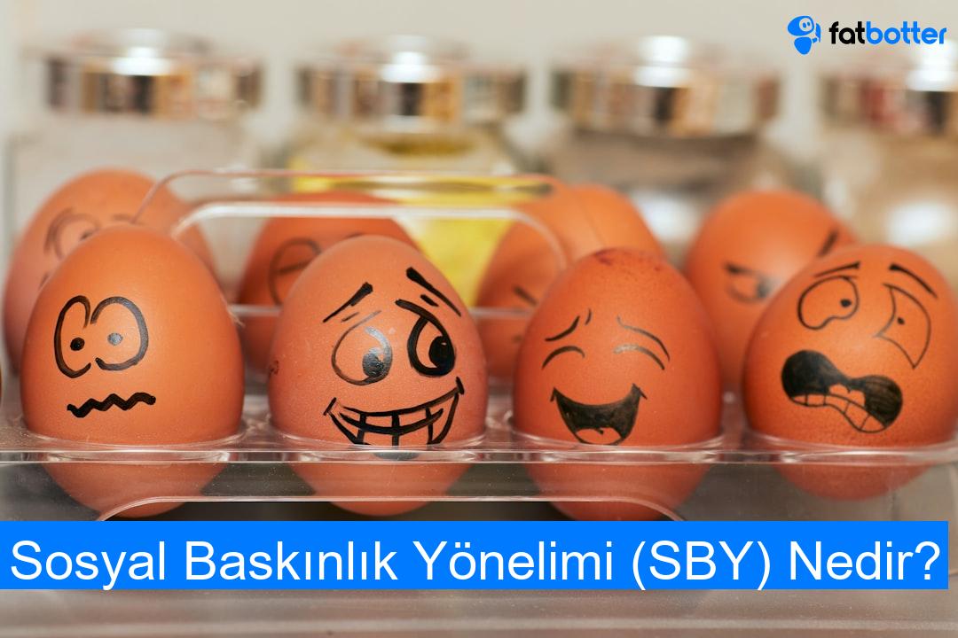 Sosyal Baskınlık Yönelimi (SBY) Nedir?