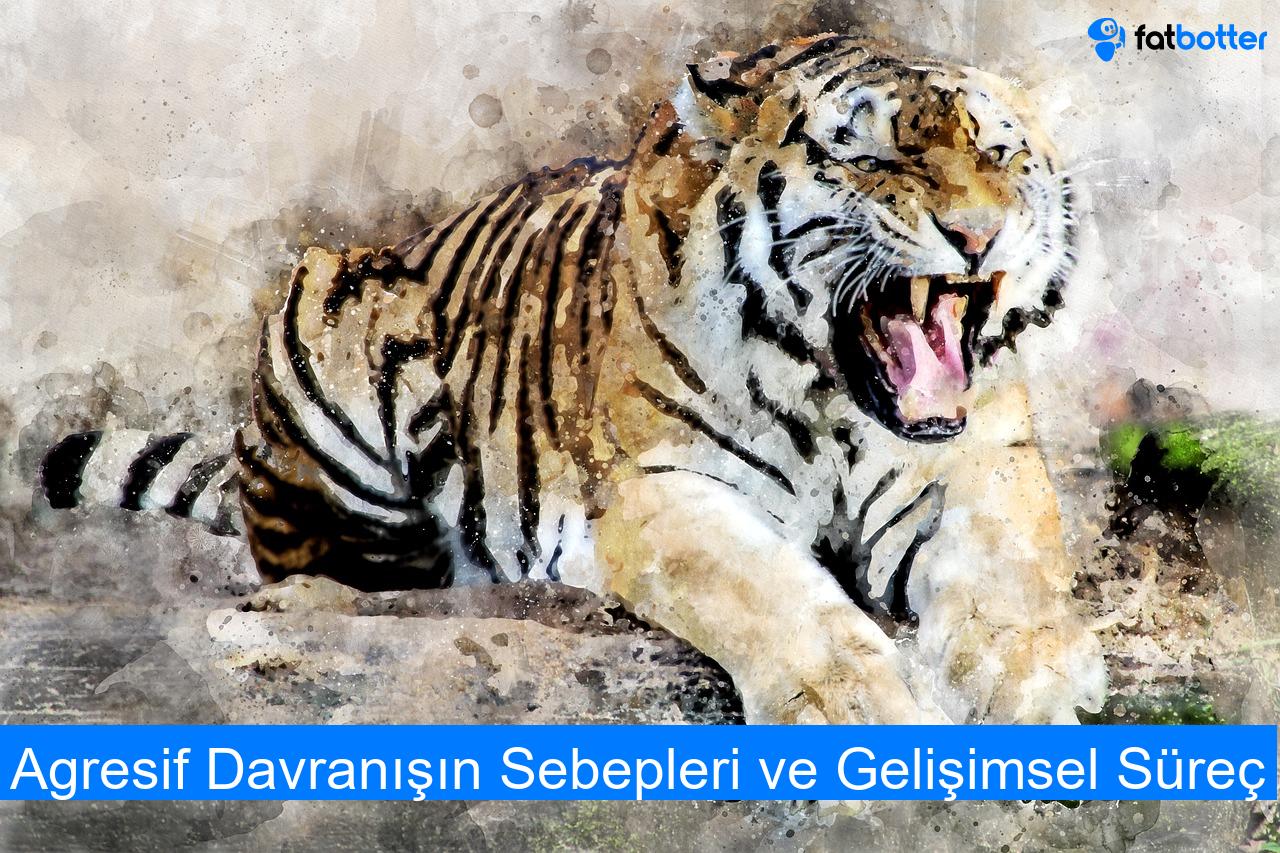 Agresif Davranışın Sebepleri ve Gelişimsel Süreç