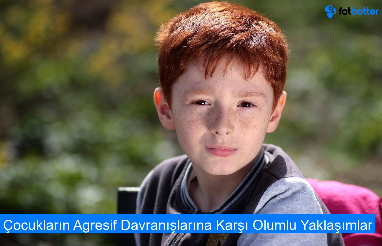 Çocukların Agresif Davranışlarına Karşı Olumlu Yaklaşımlar