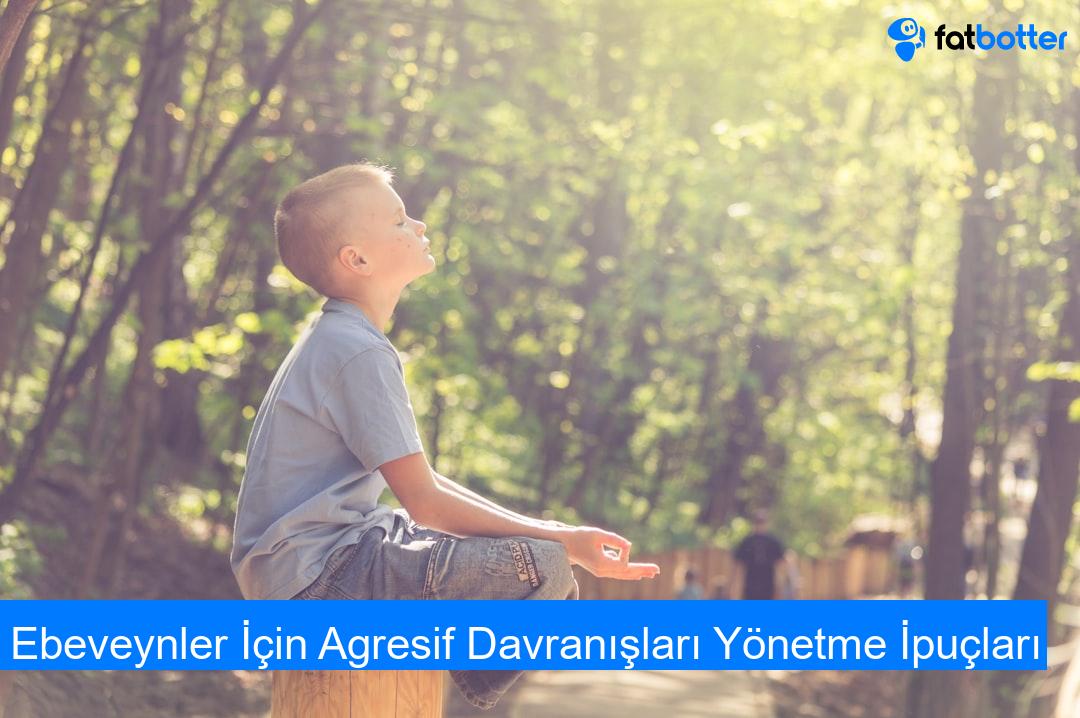 Ebeveynler İçin Agresif Davranışları Yönetme İpuçları