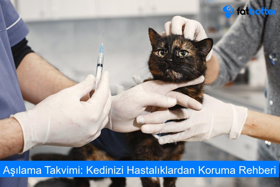 Aşılama Takvimi: Kedinizi Hastalıklardan Koruma Rehberi