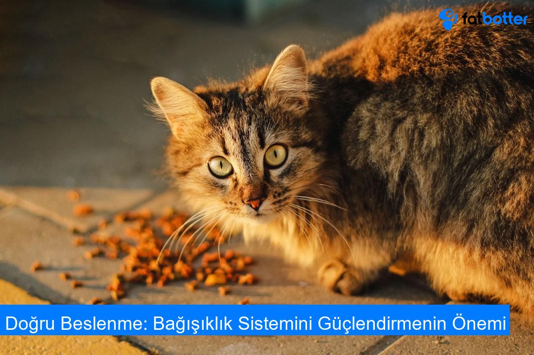 Doğru Beslenme: Bağışıklık Sistemini Güçlendirmenin Önemi