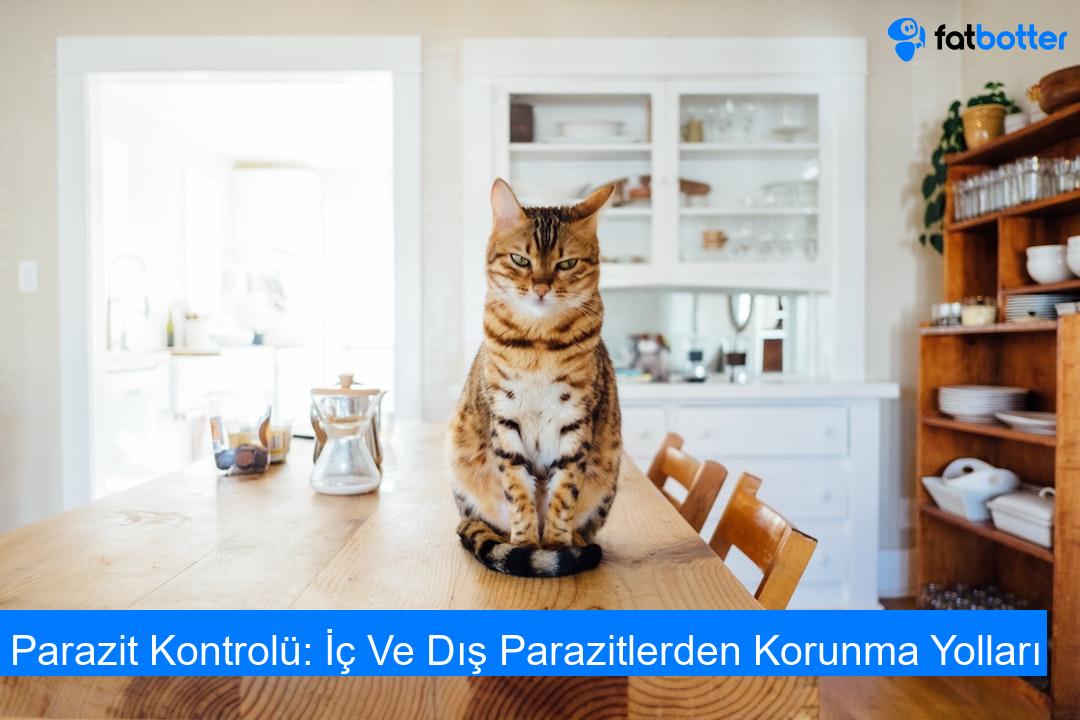 Parazit Kontrolü: İç Ve Dış Parazitlerden Korunma Yolları