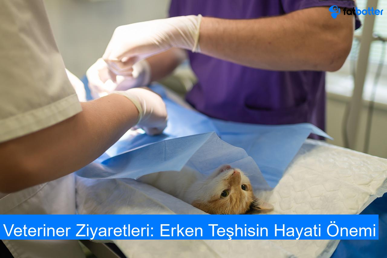 Veteriner Ziyaretleri: Erken Teşhisin Hayati Önemi